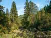 unteres Okertal