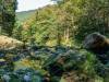unteres Okertal