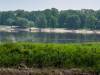 Die Elbe