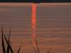Sonnenuntergang am Plauer See