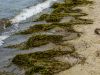 Der Strand von Poel