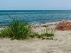 Der Strand von Poel