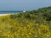 Der Strand von Poel