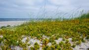 Insel Poel