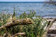 Insel Poel