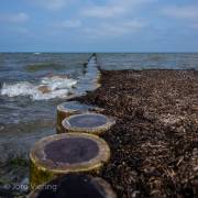 Insel Poel