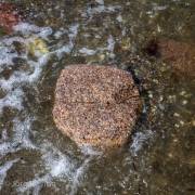 Insel Poel