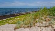 Insel Poel