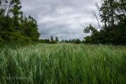 Insel Poel