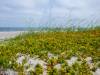 Insel Poel