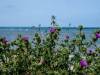 Insel Poel