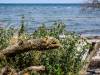 Insel Poel
