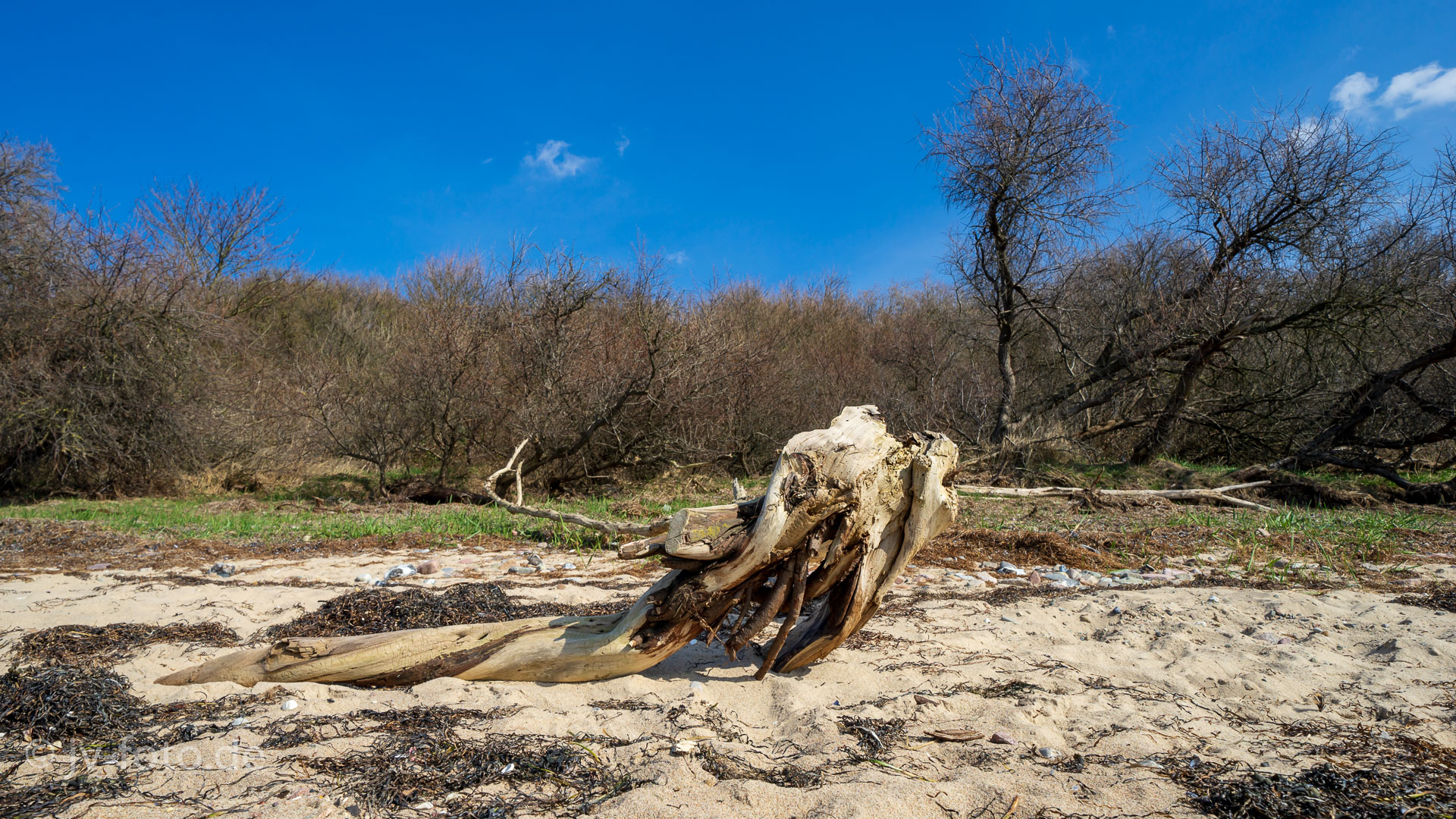 Insel Poel