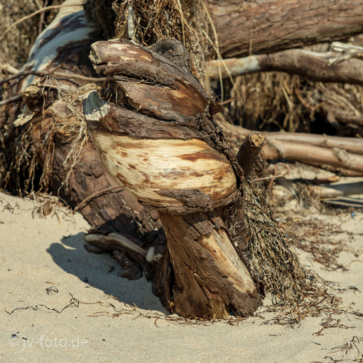 Insel Poel