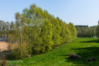 Blick zum See