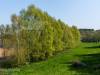 Blick zum See