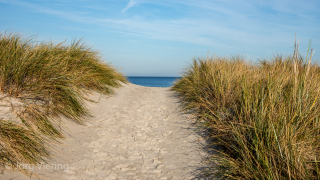 Am Strand von Prerow