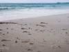 Am Strand von Prerow