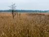 Weststrand