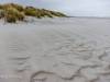 Strand bei Prerow