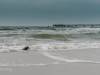 Strand bei Prerow