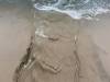 Strand bei Prerow