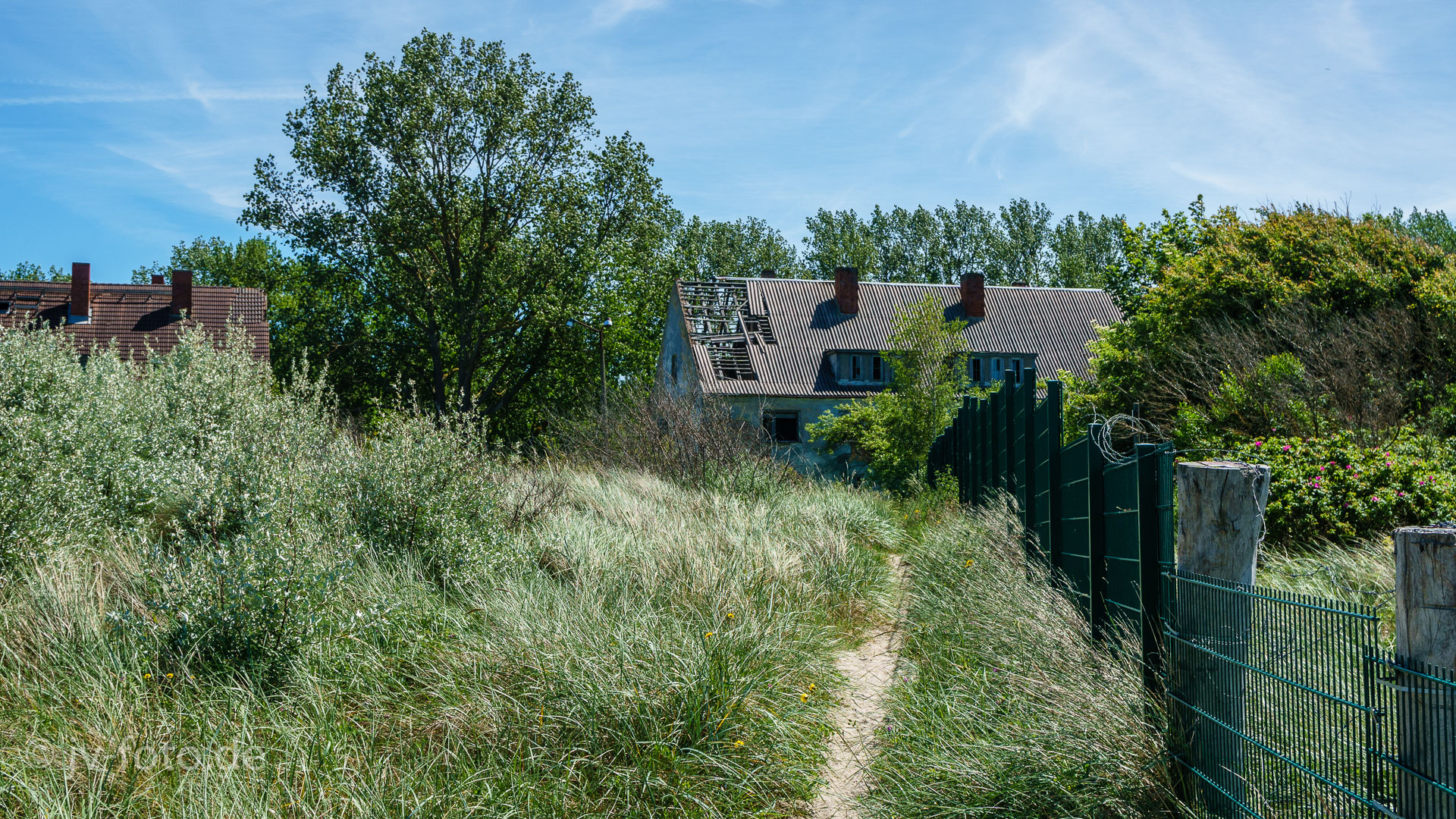 Halbinsel Wustrow