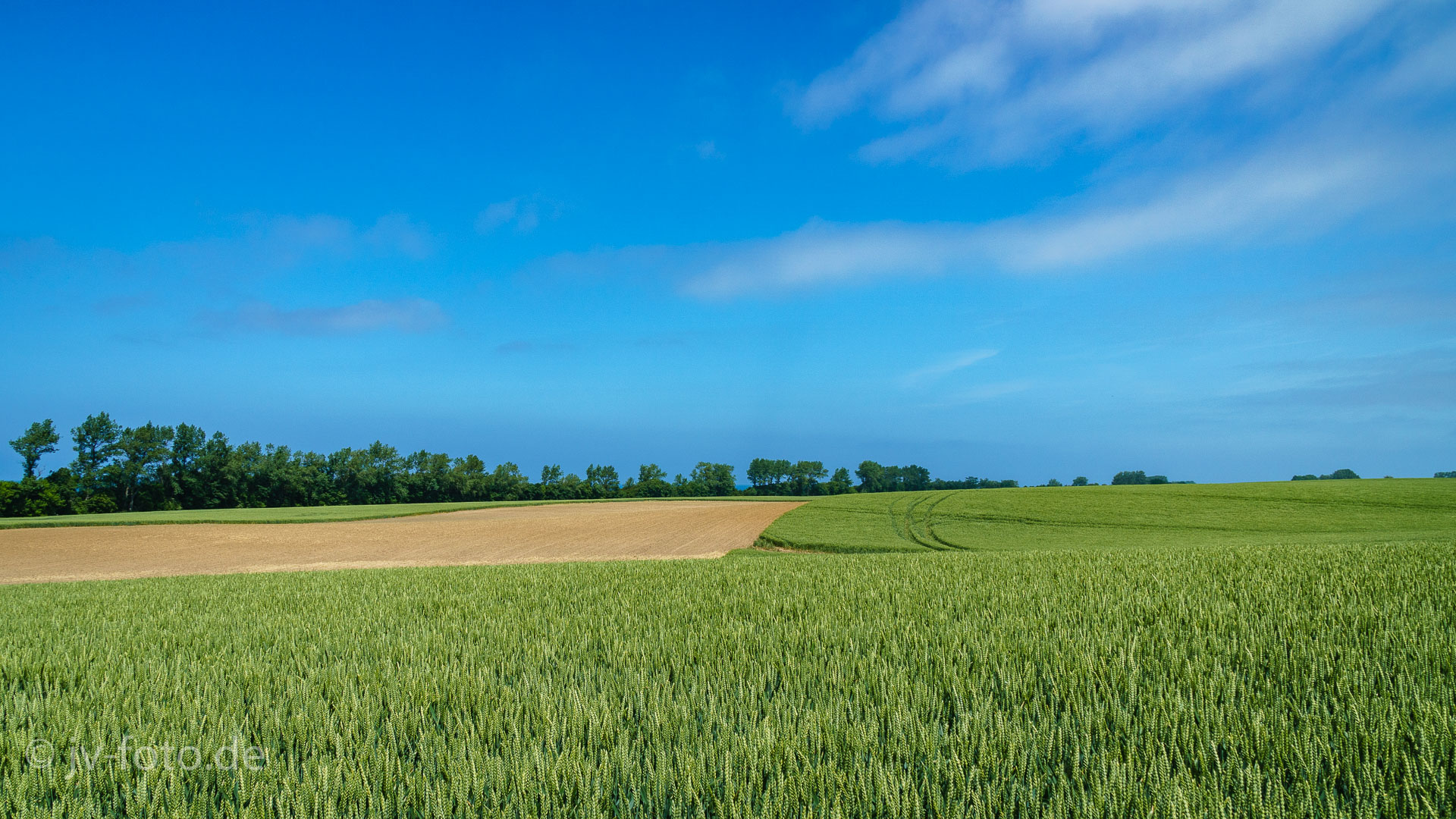 Auf dem Weg zur Steilküste
