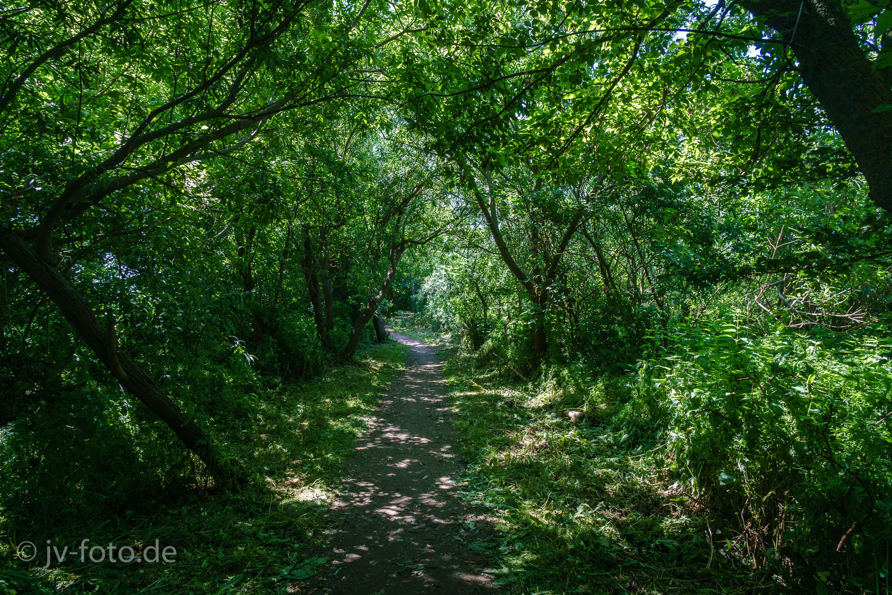 Der obere Weg an der Steilküste