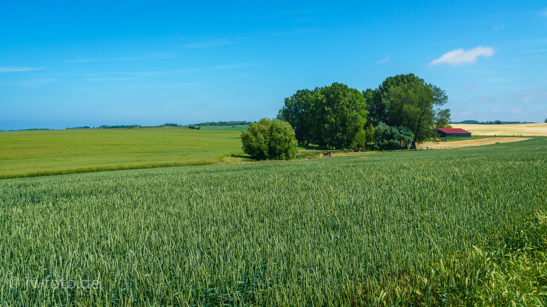 Der obere Weg an der Steilküste