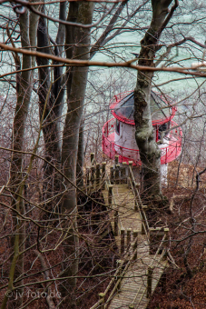 Am Königsstuhl