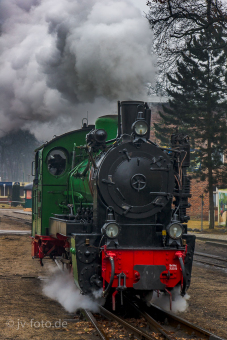 Rasender Roland in Göhren