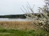 Rügen