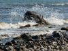 Binz
