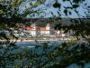 Binz