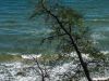 Binz