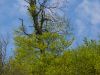 Nationalpark Jasmund