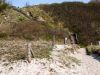Am Strand von Hiddensee