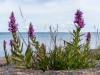 Am Strand von Degersand