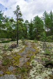 Wikingerfestung bei Södergard