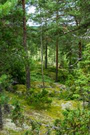 Wikingerfestung bei Södergard