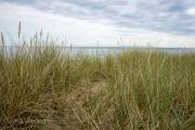 Am Strand von Olseröd