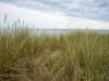 Am Strand von Olseröd