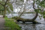 Riddarfjärden