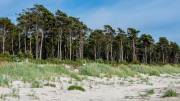 Am Strand von Löderup