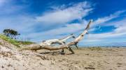 Am Strand von Löderup