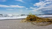 Am Strand von Löderup