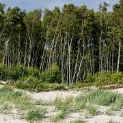 Am Strand von Löderup