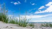Am Strand von Löderup