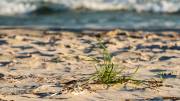 Am Strand von Löderup